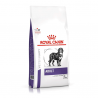 Royal Canin VD Adult Large Dog sausas šunų maistas
