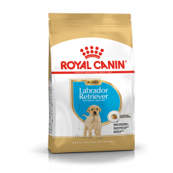 Royal Canin Labrador...