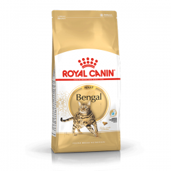Royal Canin Bengal sausas...