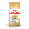 Royal Canin Norwegian Forest Cat sausas kačių maistas