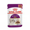 Royal Canin Sensory Smell in Gravy konservai katėms