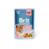 Brit Premium Delicate Chicken for Kitten in Gravy maistas kačiukams