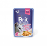 Brit Premium Delicate Chicken in Jelly konservai katėms