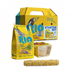 RIO Starter Set startinis...
