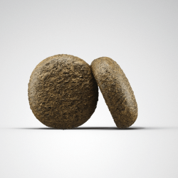 Josera Duck & Potato begrūdis šunų maistas