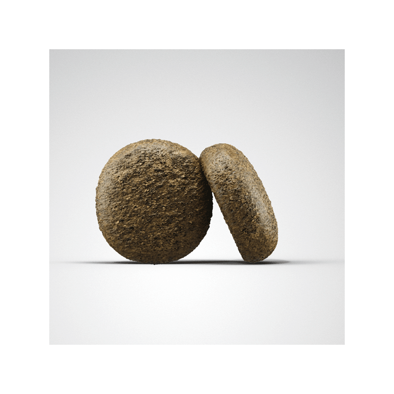 Josera Duck & Potato begrūdis šunų maistas