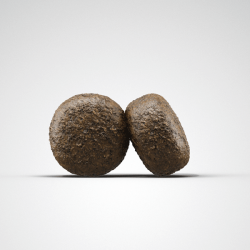 Josera Sensi Junior sausas maistas šunims su antiena