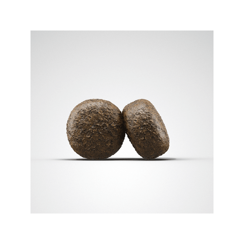 Josera Sensi Junior sausas maistas šunims su antiena