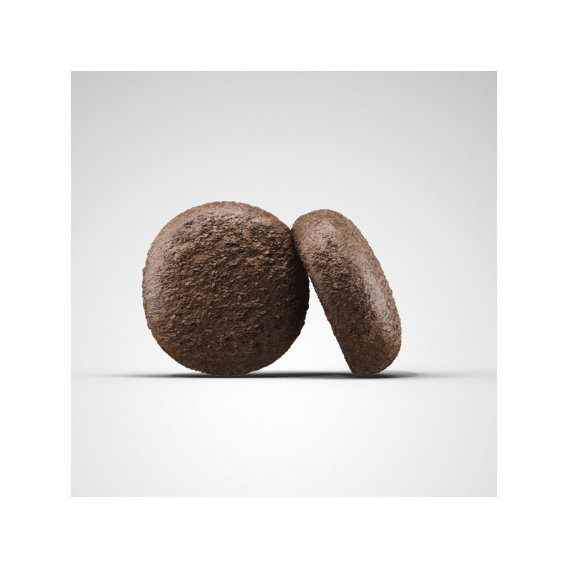 Josera Duck & Potato sausas maistas šunims su antiena