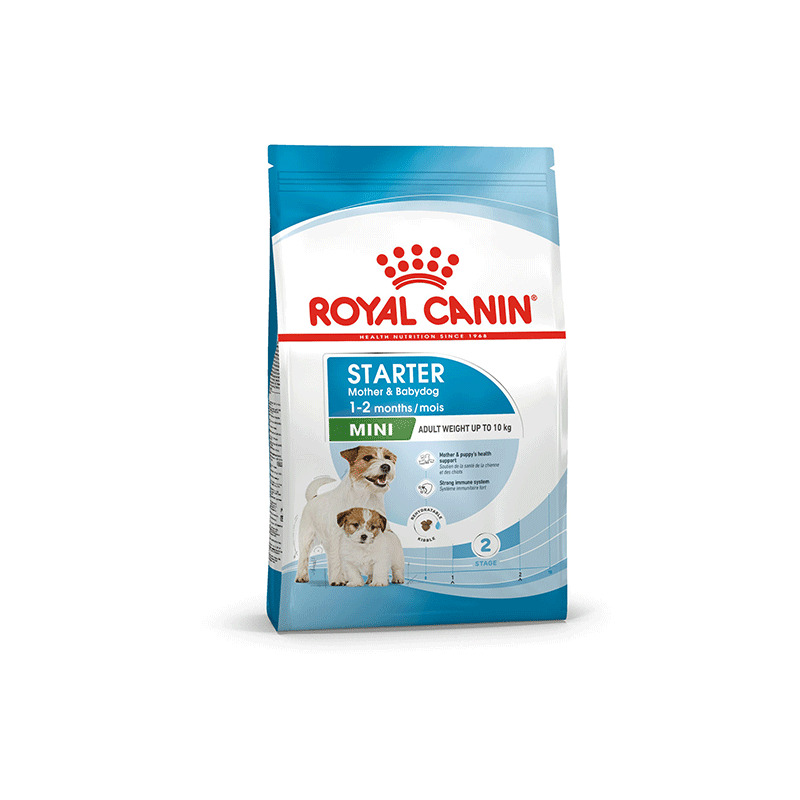 Royal Canin Mini Starter sausas maistas šunims