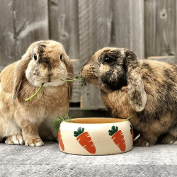 Nobby Carrot dubenėlis...