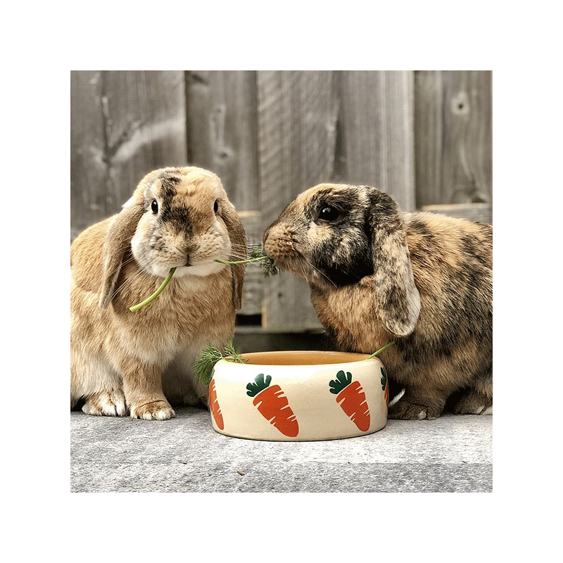 Nobby Carrot dubenėlis graužikams, 500 ml