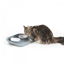 Nobby Butler dubenėlis su padėklu augintiniams