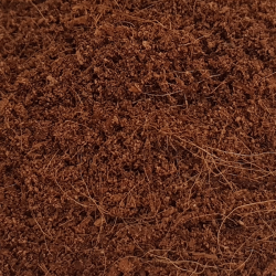 Nobby smulkus kokoso substratas terariumui