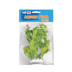 Happet akvariumo augalas raudonas / žalias