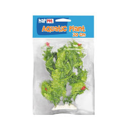 Happet akvariumų augalas žalias su žiedu