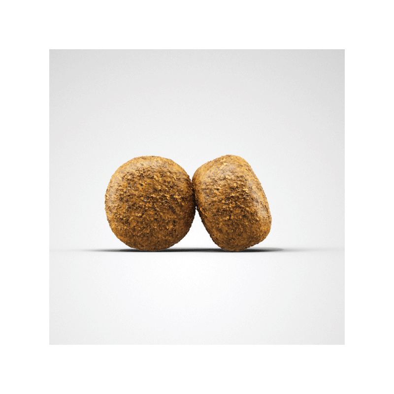 Josera Balance sausas šunų maistas, 12,5 kg