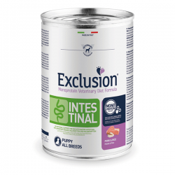 Exclusion Intestinal...