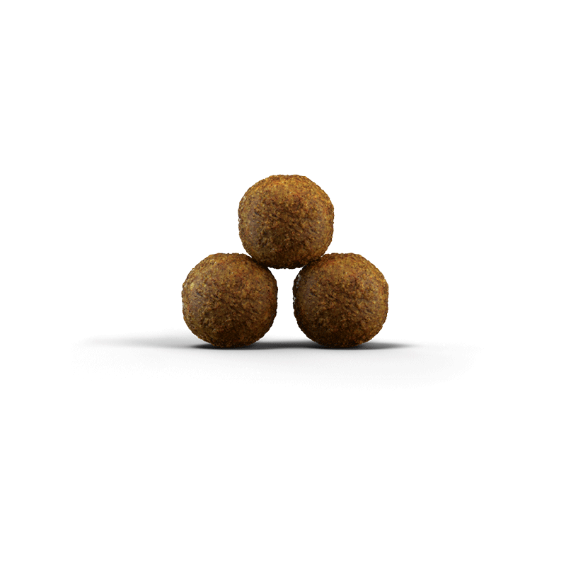 Josera Kitten Grainfree begrūdis kačių maistas, 400 g