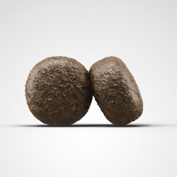 Josera Lamb & Rice sausas maistas šunims, 900 g