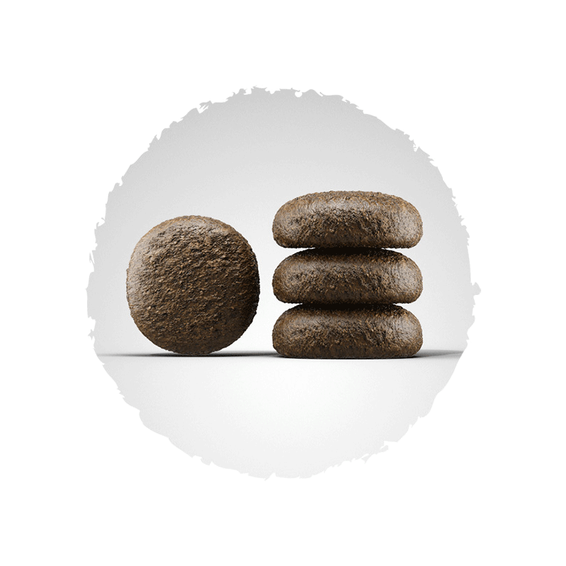 Josera Festival sausas maistas šunims, 900 g