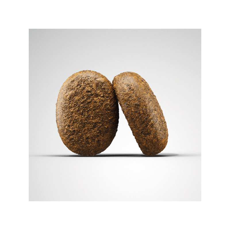 Josera Optiness sausas maistas šunims, 900 g