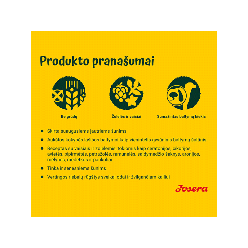 Josera Salmon & Potato begrūdis maistas šunims, 900 g