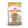 Royal Canin Poodle Adult sausas šunų maistas