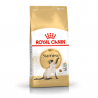 Royal Canin Siamese sausas kačių maistas, 400 g