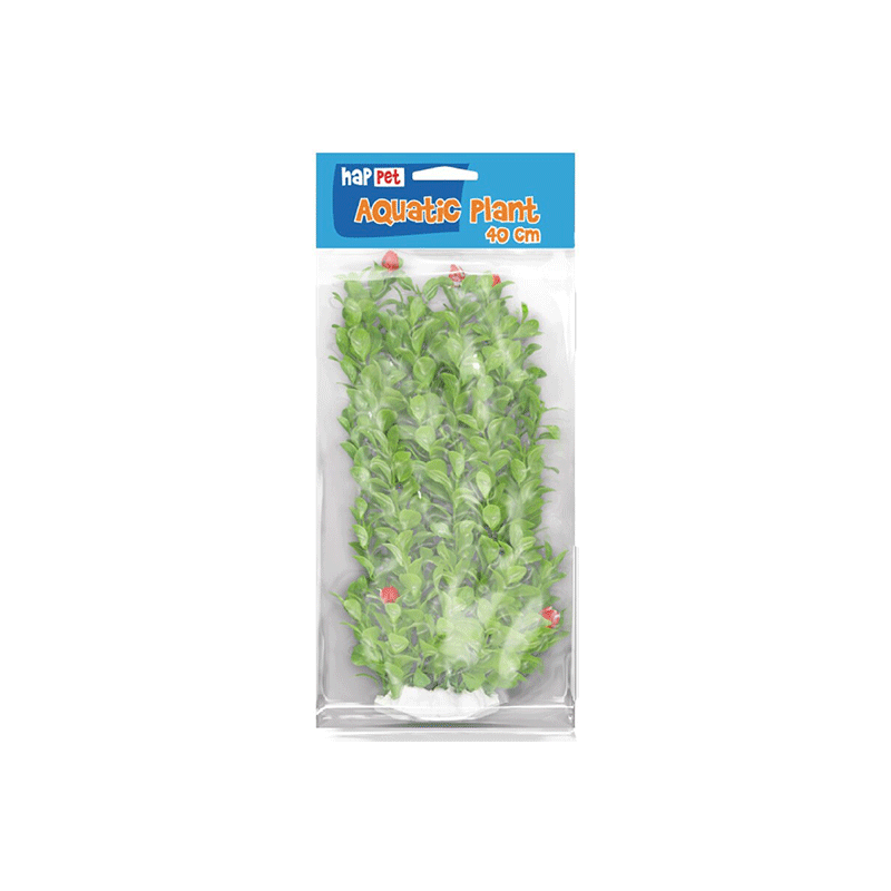 Happet akvariumų augalas raudonas / žalias