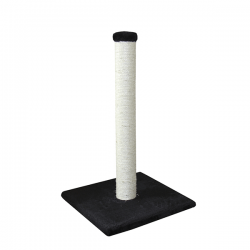 Nobby Bari juoda draskyklė...