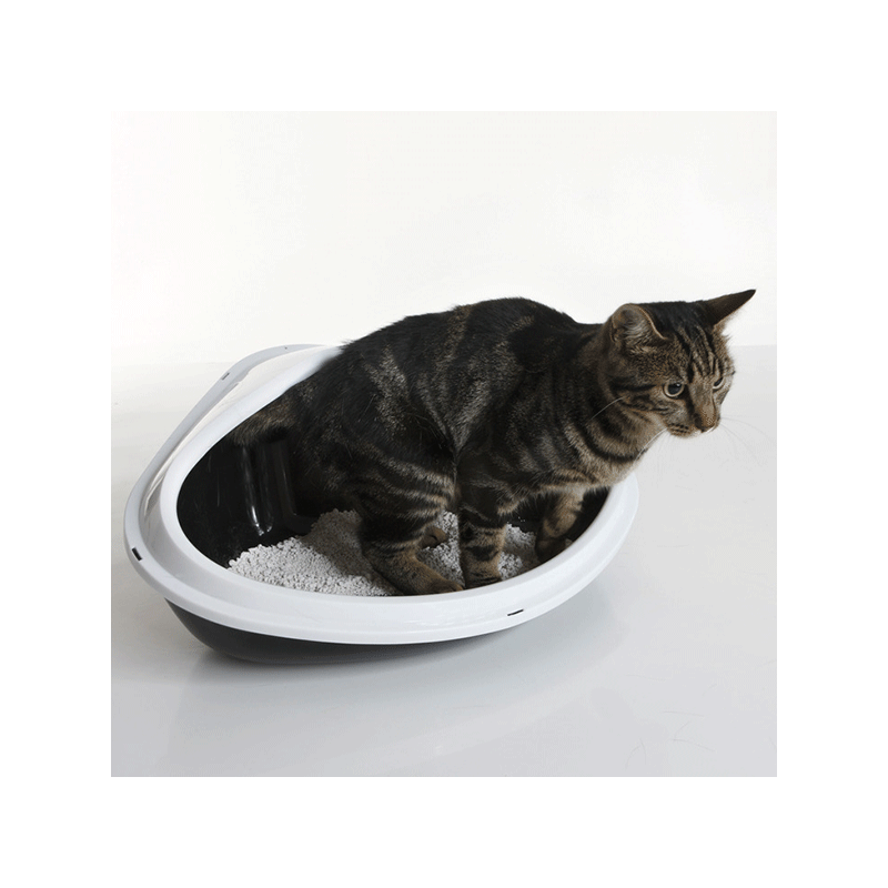 Nobby Concha kampinis tualetas katėms