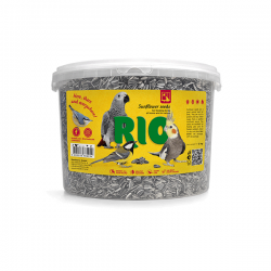 RIO saulėgrąžos paukščiams,...