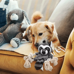 Nobleza pliušinis meškėnas žaislas šunims