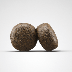 Josera Lamb & Rice sausas maistas šunims, 900 g