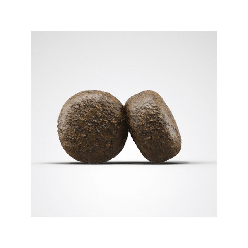 Josera Lamb & Rice sausas maistas šunims, 900 g