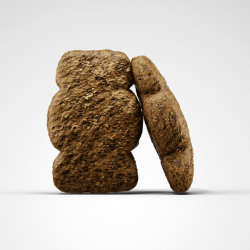 Josera Kids sausas šunų maistas, 900 g