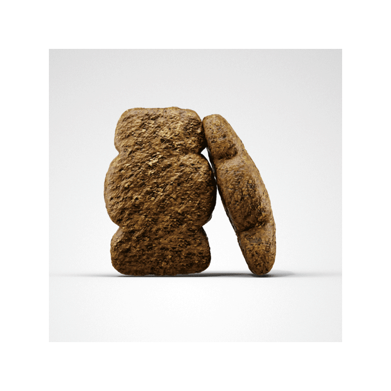 Josera Kids sausas šunų maistas, 900 g