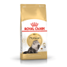 Royal Canin Persian sausas kačių maistas, 400 g
