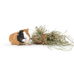 Happet medinis tunelis graužikams