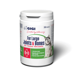 GIGI Large Joints & Bones...