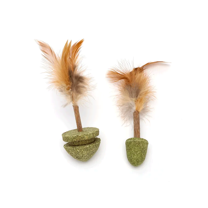 Nobleza žaislas su katžole ir plunksnomis katėms