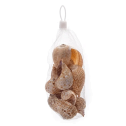 Nobleza gelsvos kriauklės...