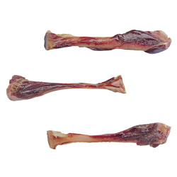 Nobby itališko kumpio...