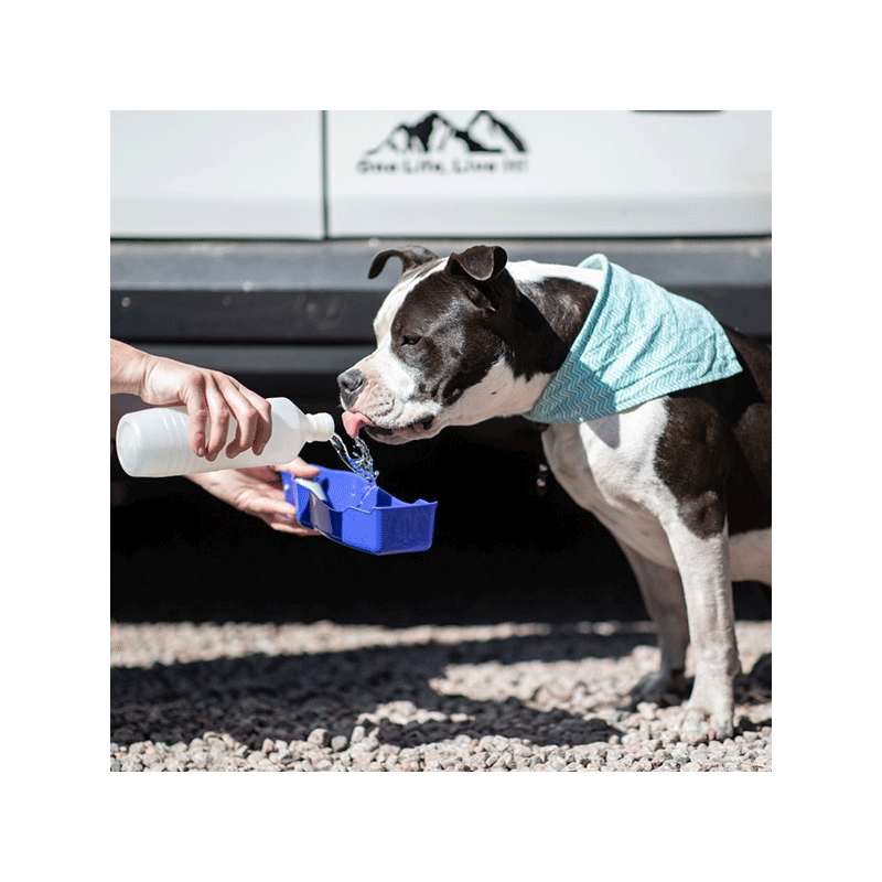 Nobby kelioninė gertuvė augintiniams