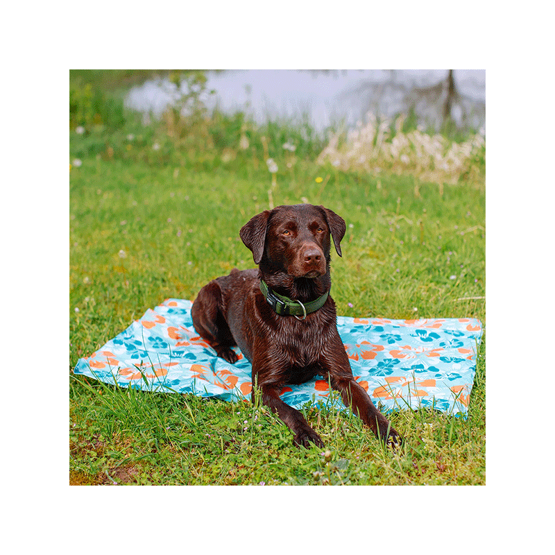 Nobby Flower vėsinantis kilimėlis augintiniams, 90x70 cm