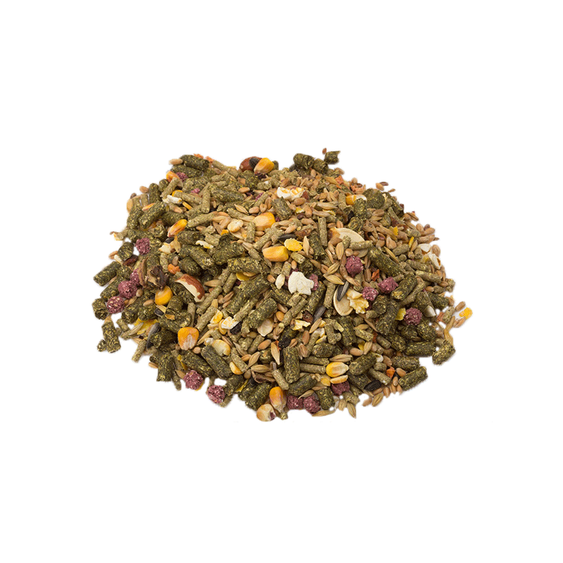 Comfy Menu maistas jūrų kiaulytėms, 500 g