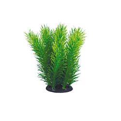 Aquael plastikiniai augalai...