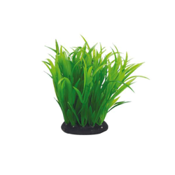 Aquael dirbtinis augalas...