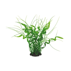 Aquael dirbtinis augalas...